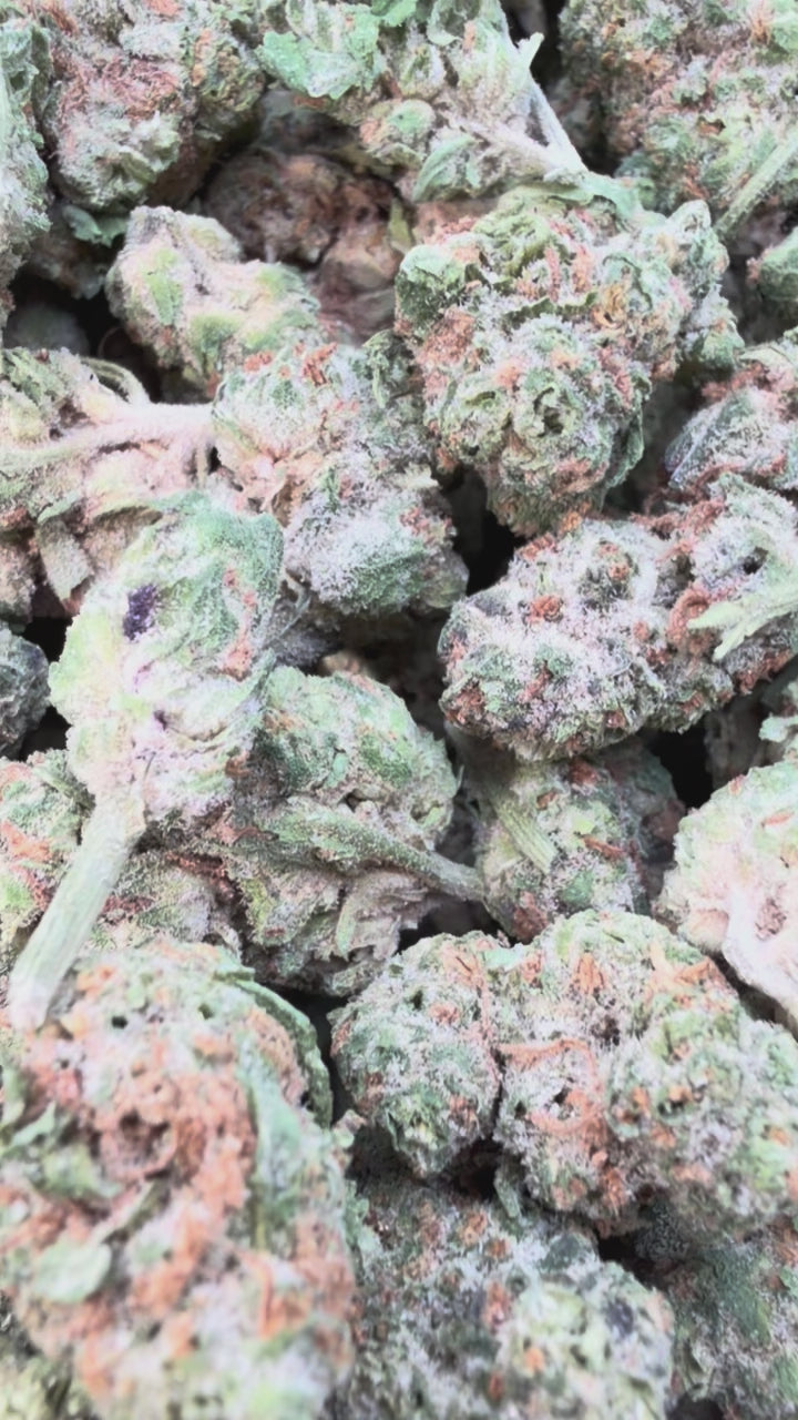 Load video: Do Si Dos x Lava Cake Mediums - Bulk Mediums - Indica