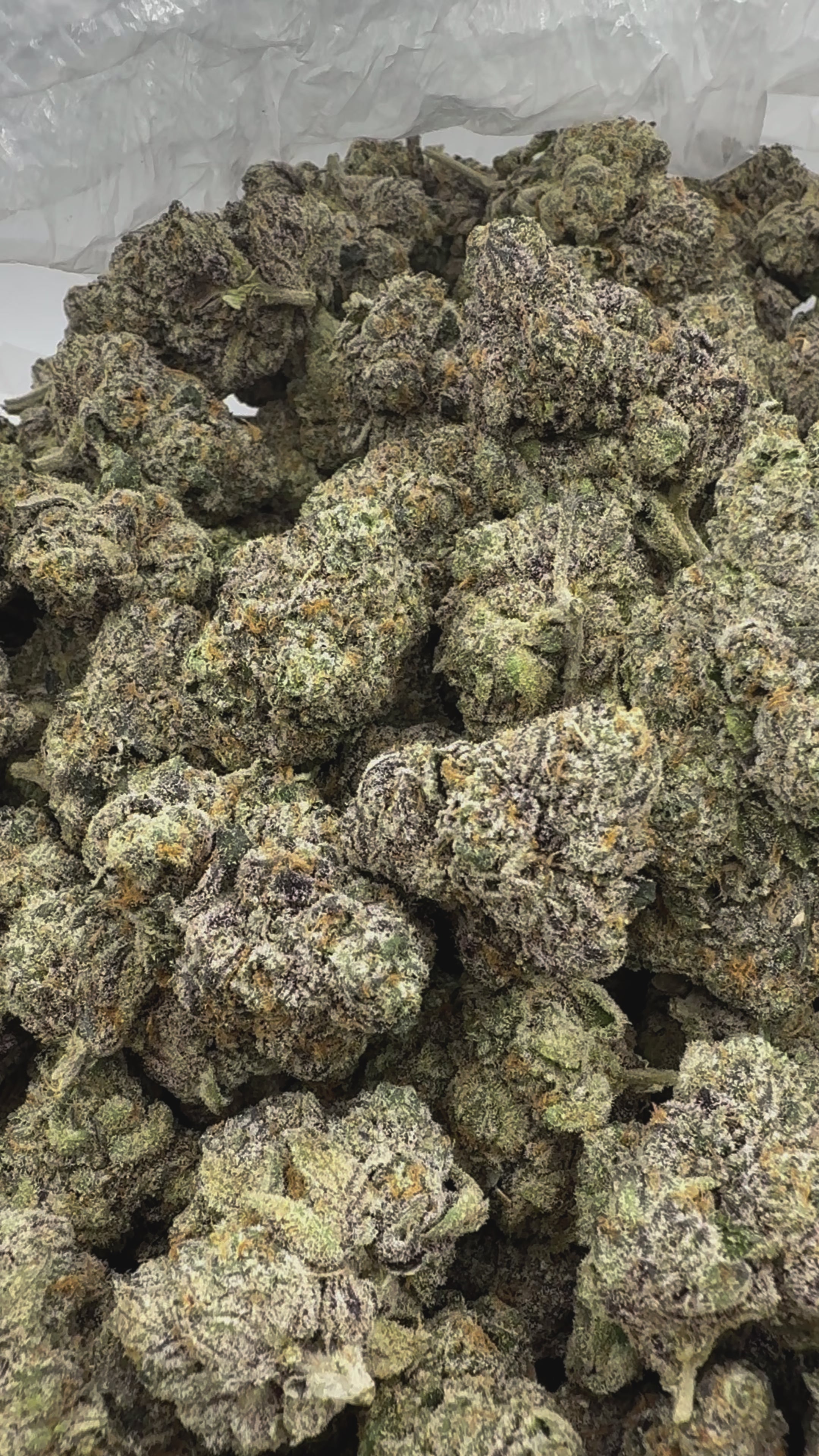 Load video: Permanent Runtz - Bulk - Hybrid