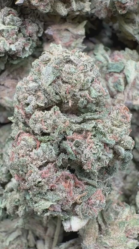Load video: Grape Soda - Bulk - Sativa