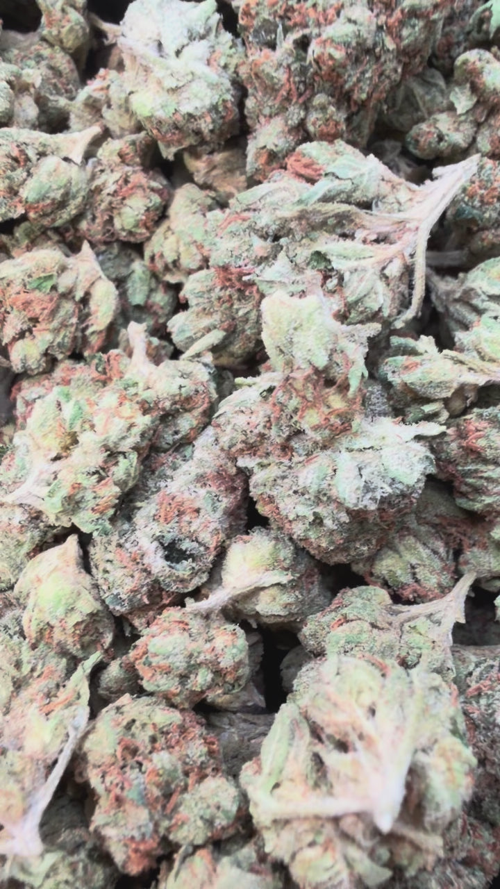 Load video: Bubba OG Littles - Bulk Littles - Indica