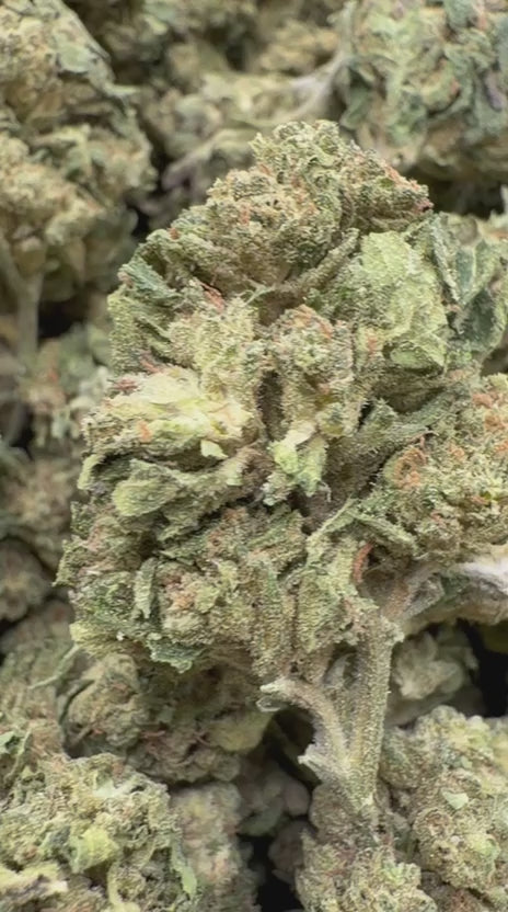 Cargar vídeo: Pastel de uva - A granel - Indica 