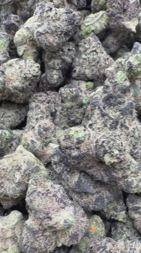 Cargar vídeo: Grape Gas Indoor - Bulk - Hybrid
