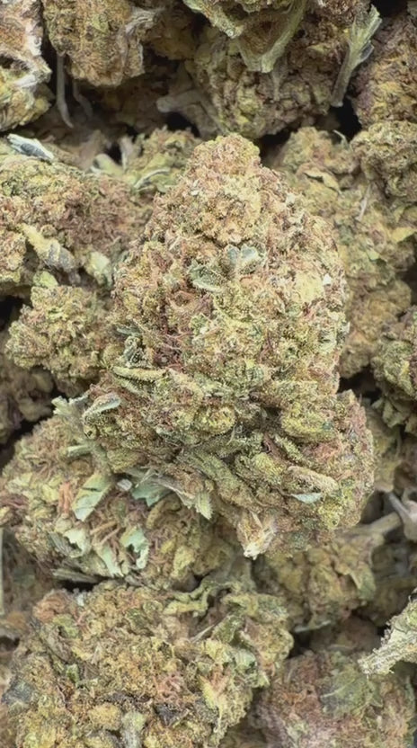 Cargar vídeo: Butterscotch OG - A granel - Indica