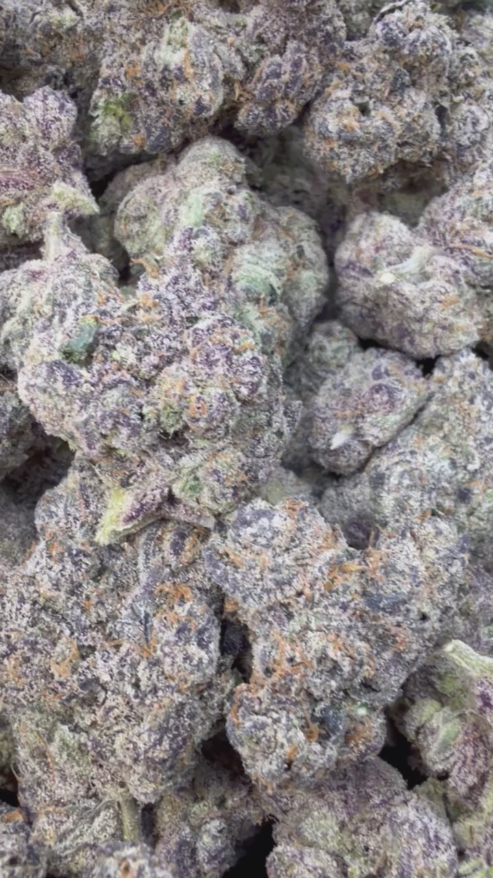 Load video: Indoor Exotic Zkittles x Mochi - Bulk - Hybrid