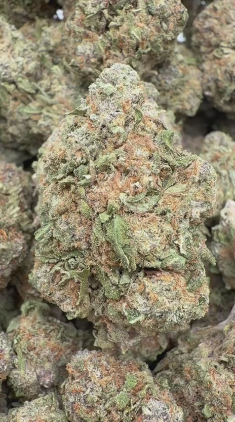 Cargar vídeo: Pastel de cereza - A granel - Híbrido
