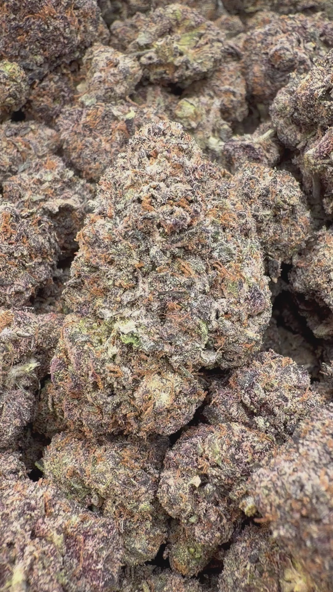 Cargar vídeo: Black Cherry Runtz - A granel - Indica