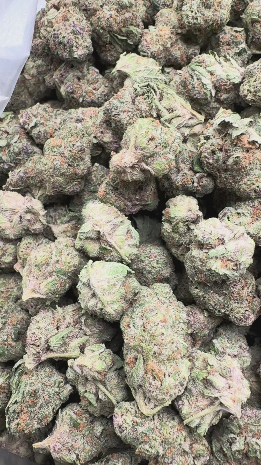 Load video: Super Boof Mediums - Bulk Mediums - Hybrid