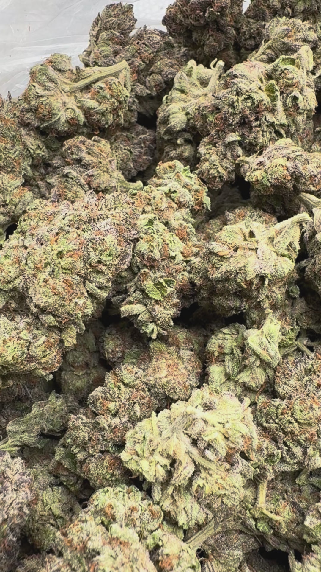 Load video: Candy Runtz - Bulk - Hybrid