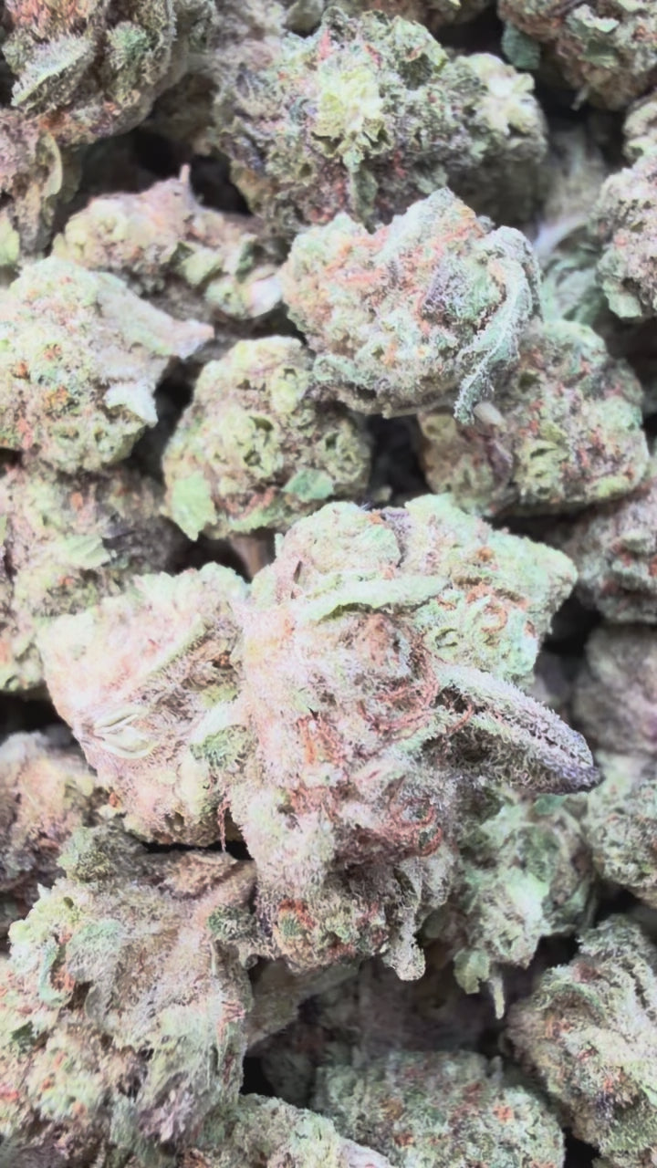 Load video: Butter Pina Littles - Bulk Littles - Indica