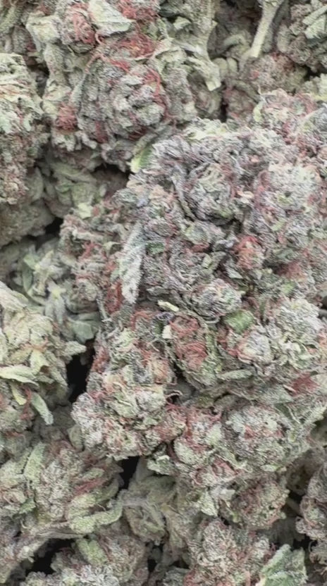Load video: NYC Sour Diesel - Bulk - Sativa
