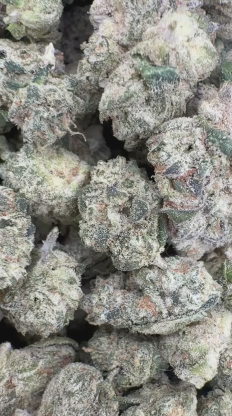 Load video: Candy Gas Indoor Littles - Bulk Littles - Hybrid
