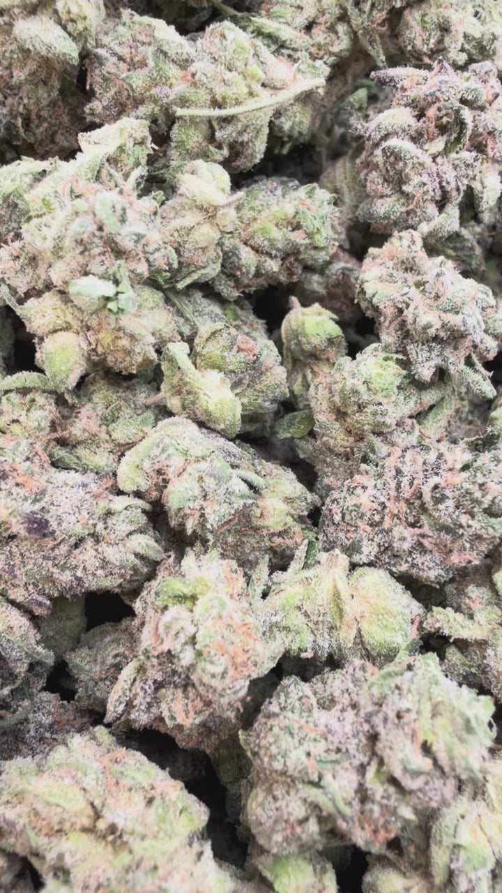Load video: Bolo Runtz Indoor Littles - Bulk Littles - Indica
