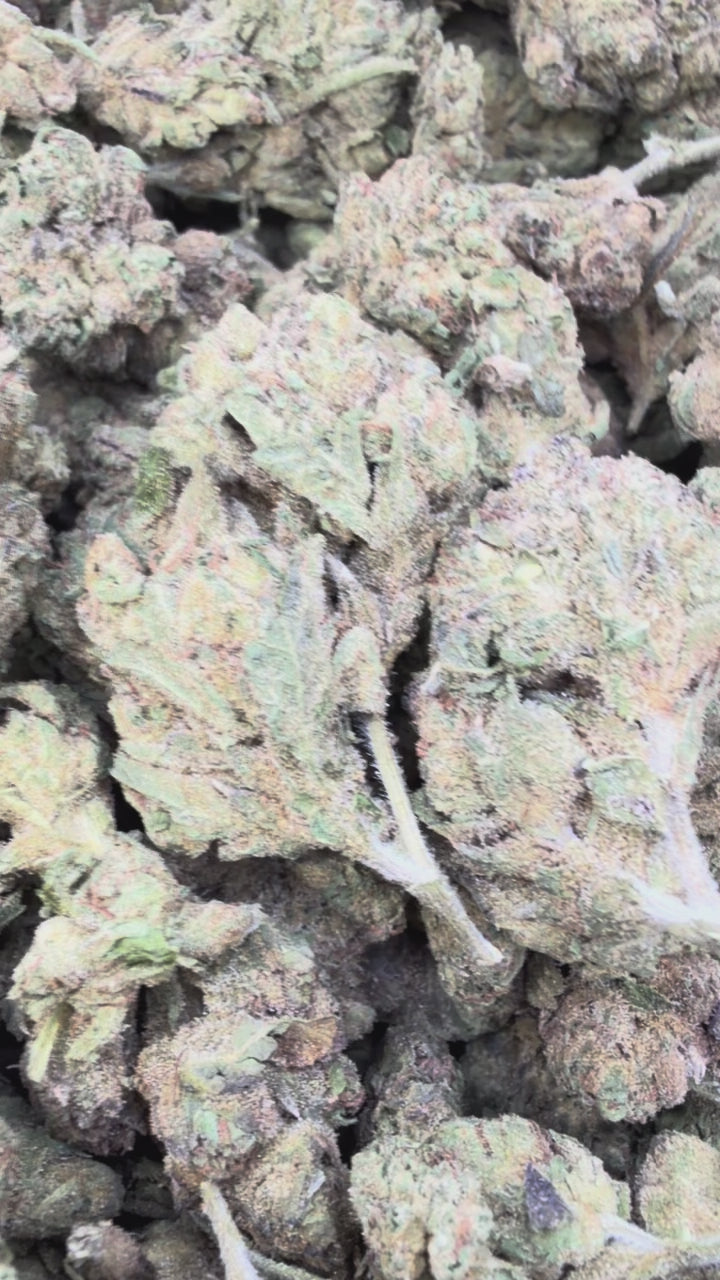 Load video: Blue Nerds - Bulk - Hybrid