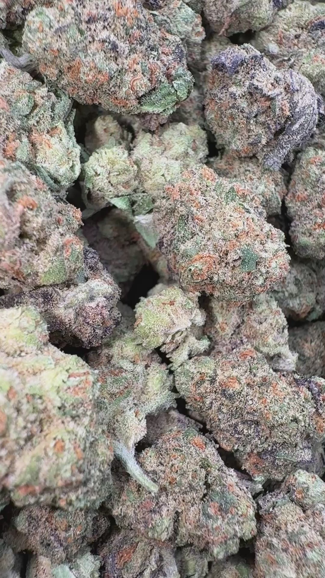 Load video: Horchata Gas Littles - Bulk Littles - Hybrid