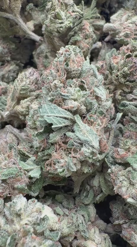 Load video: Wedding Cake - Bulk - Indica