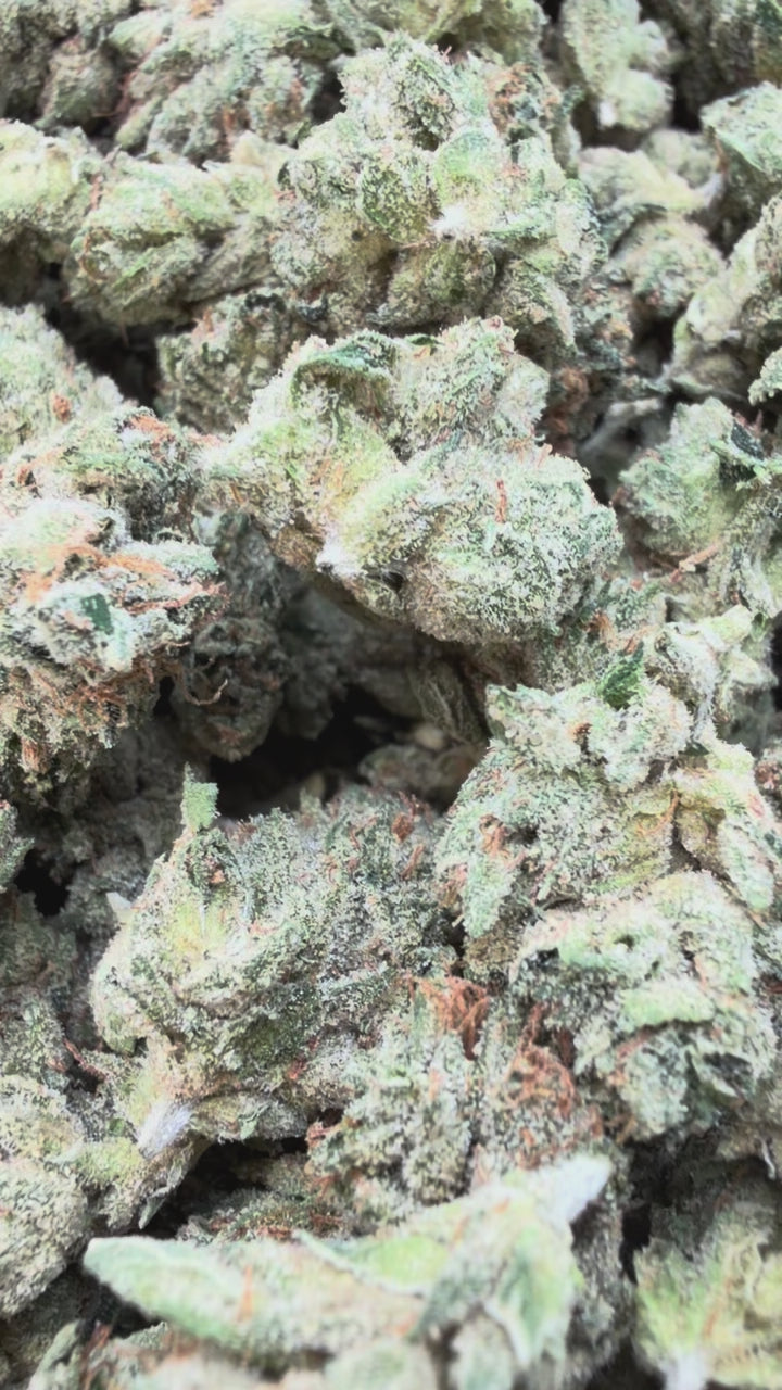 Load video: Marathon OG Indoor Littles - Bulk Littles - Indica