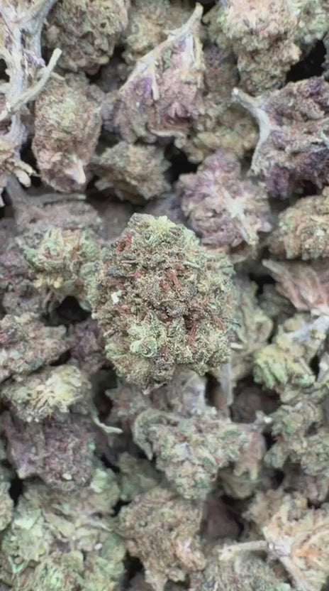 Load video: Sour Diesel Littles - Bulk Littles - Sativa