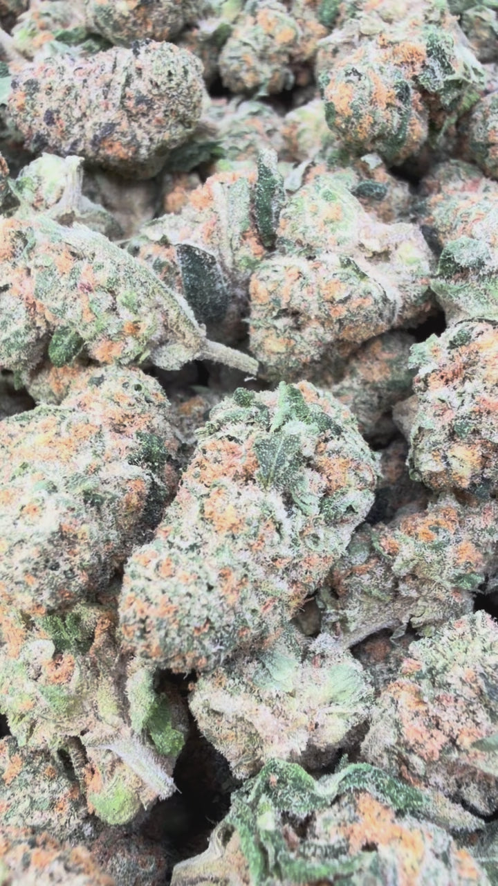 Load video: Blue Punch Littles - Bulk Littles - Indica