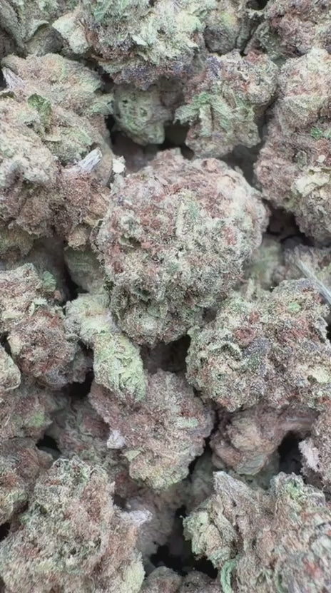 Load video: Strawberry Gelato Littles - Bulk Littles - Hybrid