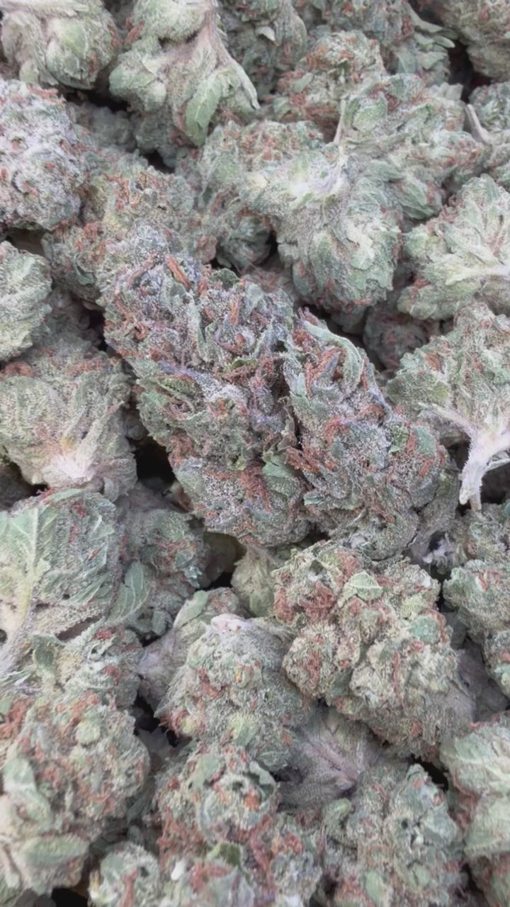 Load video: Gelato 41 Littles - Bulk Littles - Hybrid