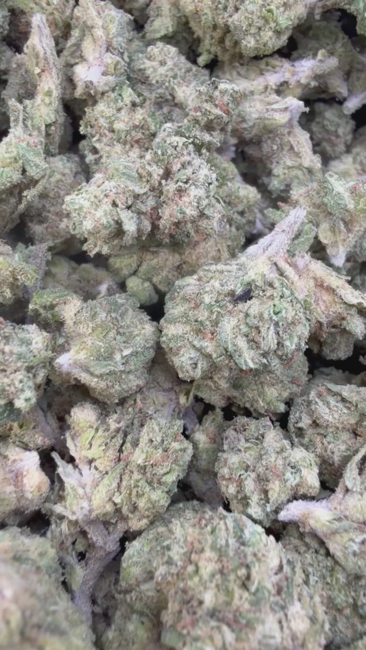 Load video: Oakland Runtz Littles - Bulk Littles - Hybrid