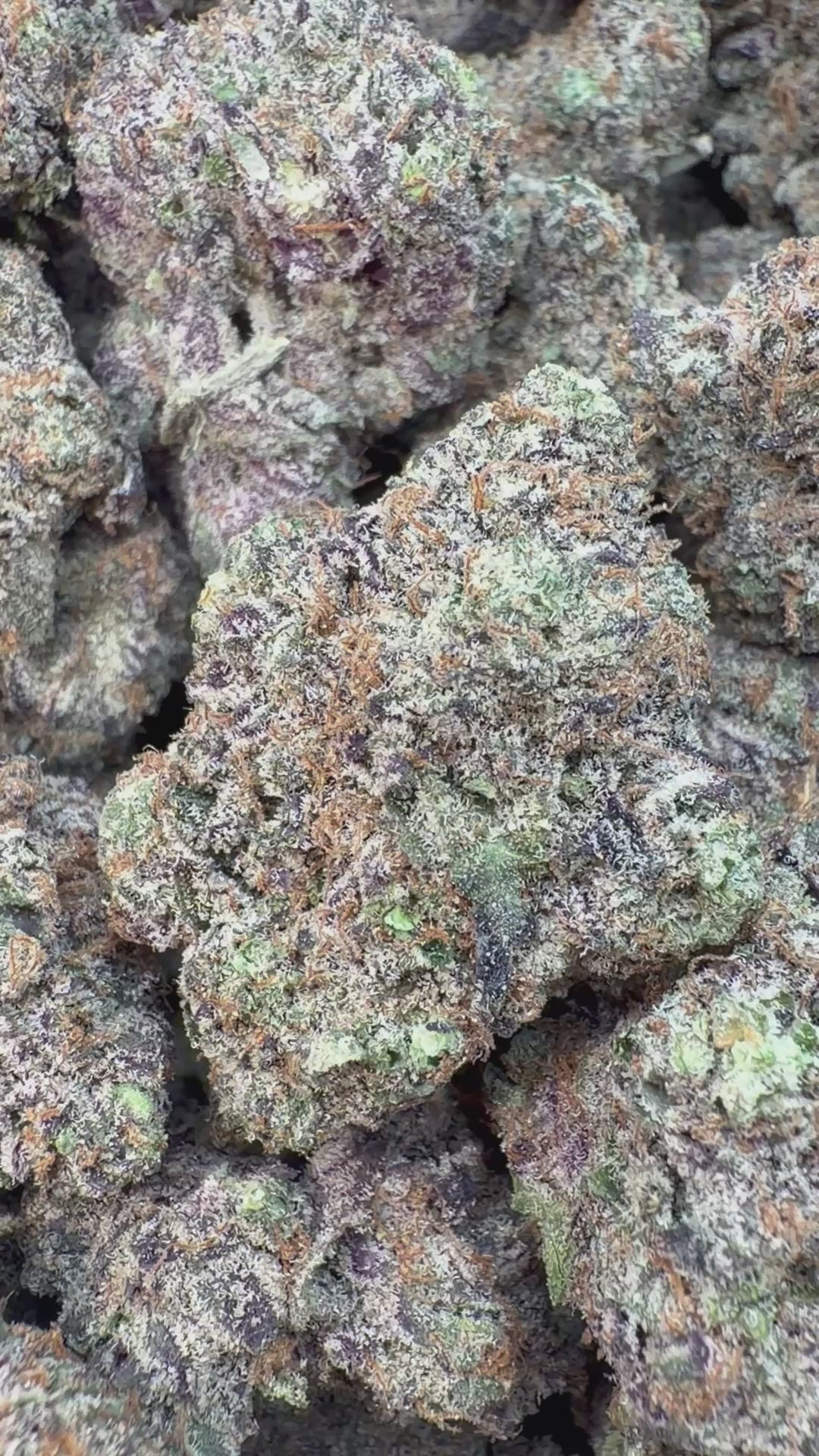 Cargar vídeo: Pastel de helado - A granel - Indica