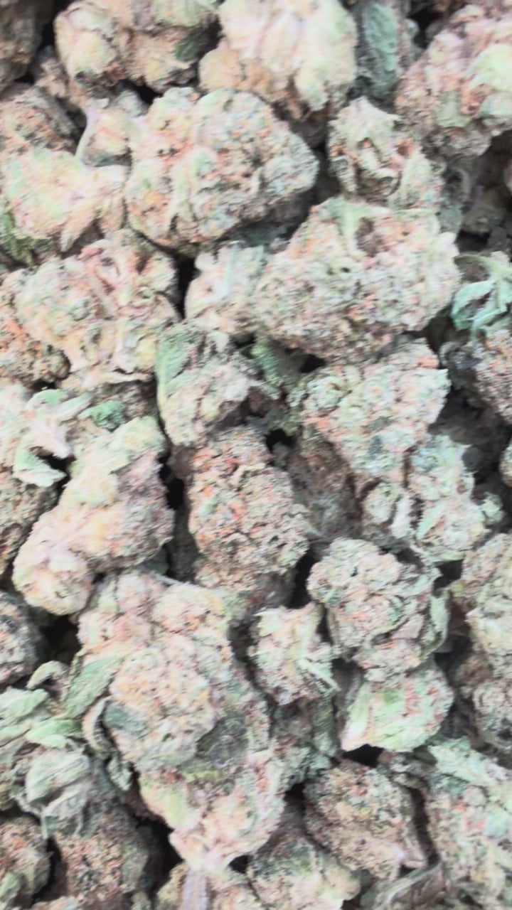 Load video: White Gelato Littles - Bulk Littles - Indica