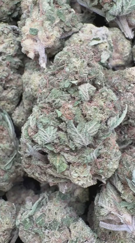 Load video: Dip N' Stix - Bulk - Hybrid