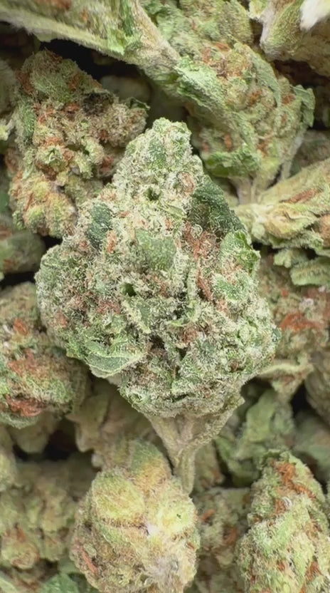 Load video: Green Crack Littles - Bulk Littles - Sativa