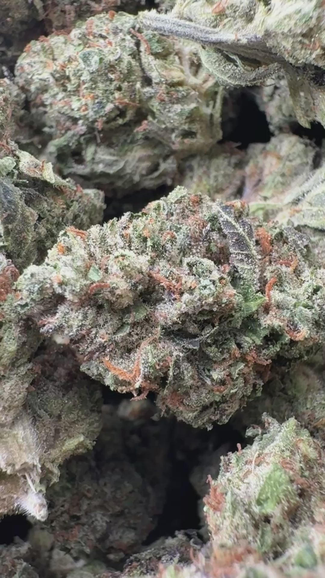 Load video: Venom OG - Bulk - Indica