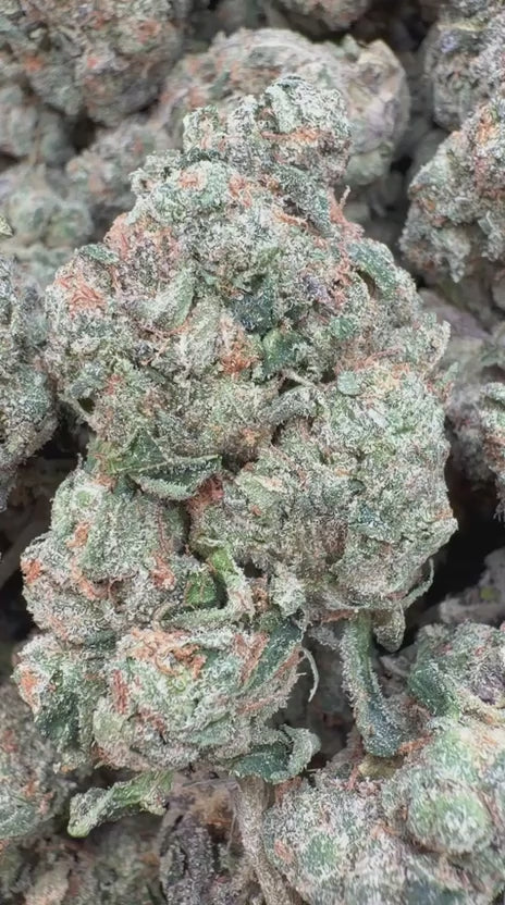 Cargar vídeo: Cherry Runtz - Bulk - Híbrido 