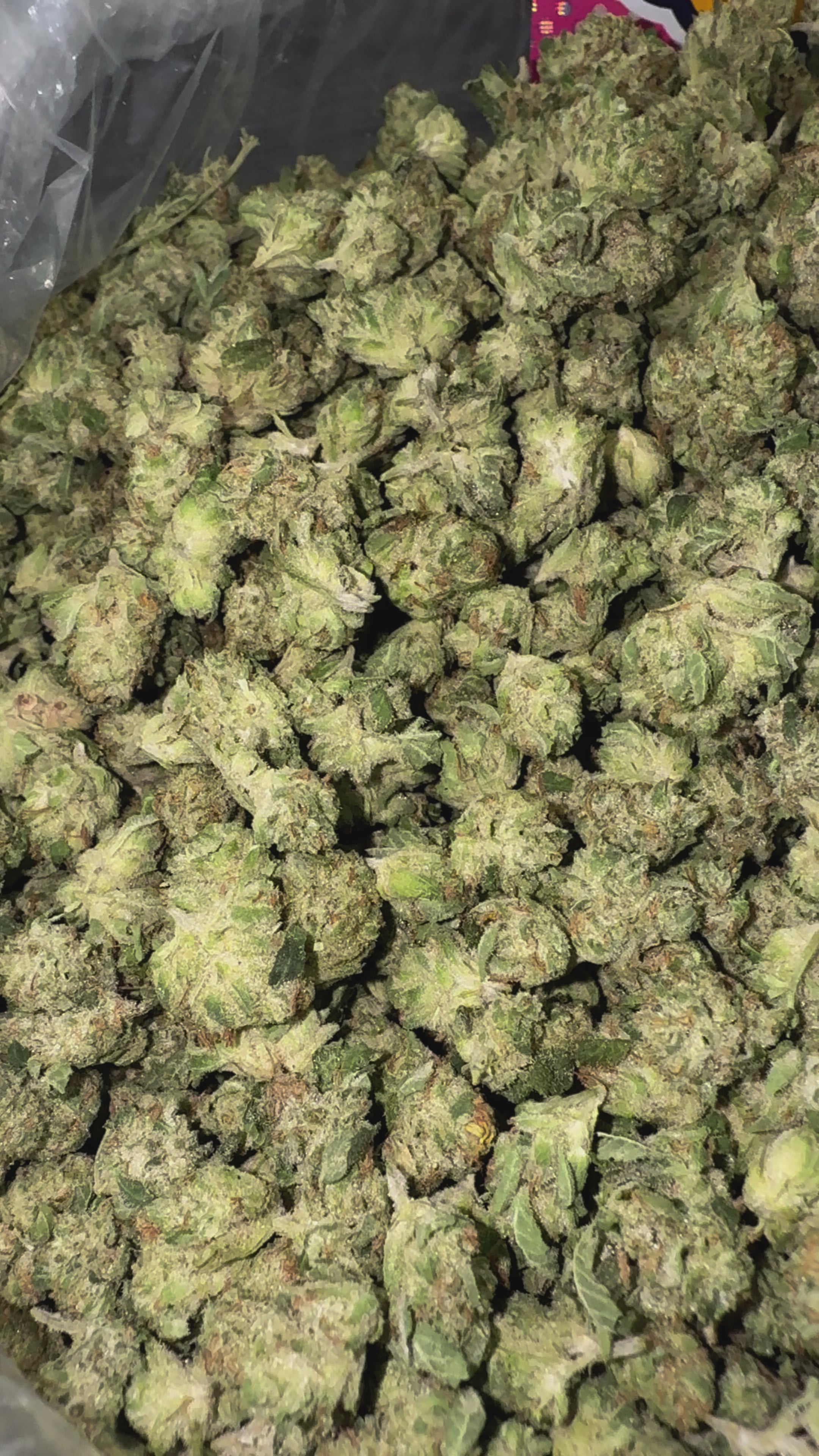 Load video: Alien OG Littles - Bulk Littles - Indica