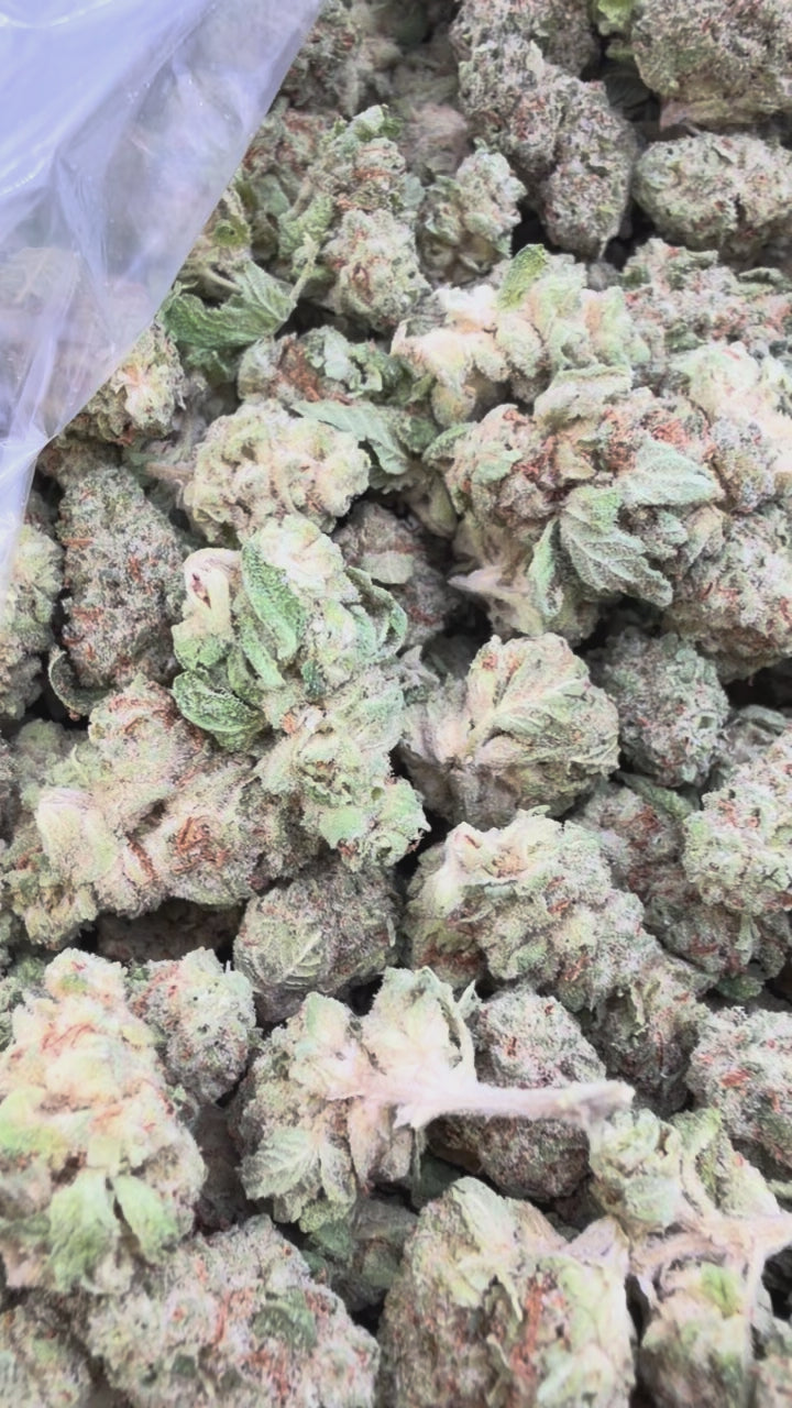 Load video: Pop Cherry Littles - Bulk Littles - Hybrid