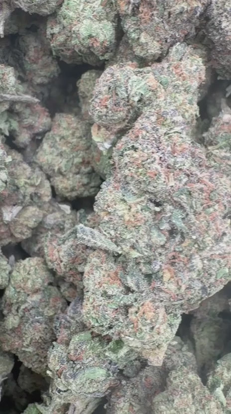Load video: LA Pop Rocks - Bulk - Indica