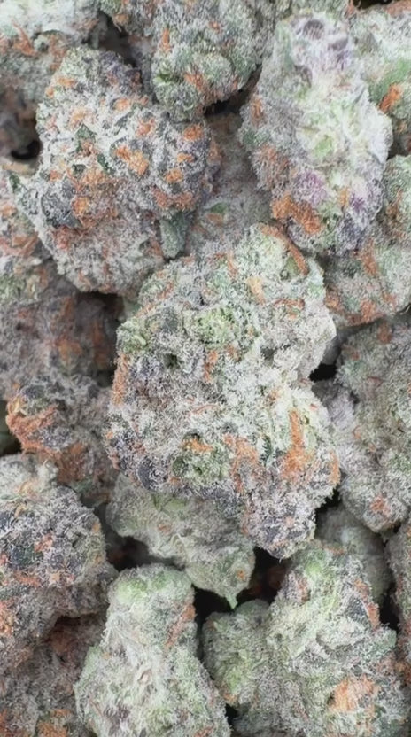 Cargar vídeo: Do Si Dos Indoor - Granel - Indica 