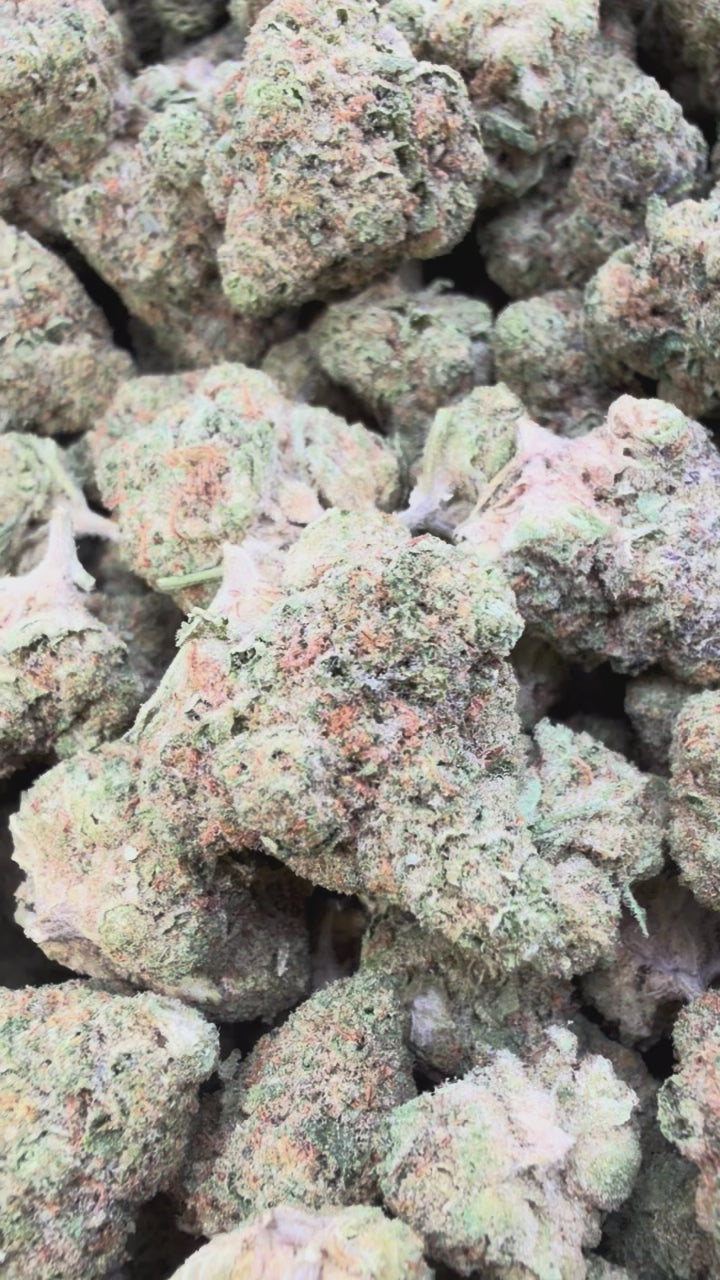 Load video: Apple Fritter Mediums - Bulk Mediums - Hybrid