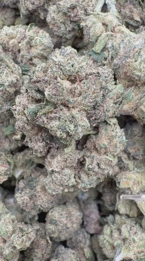 Load video: Permanent Runtz Littles - Bulk Littles - Hybrid