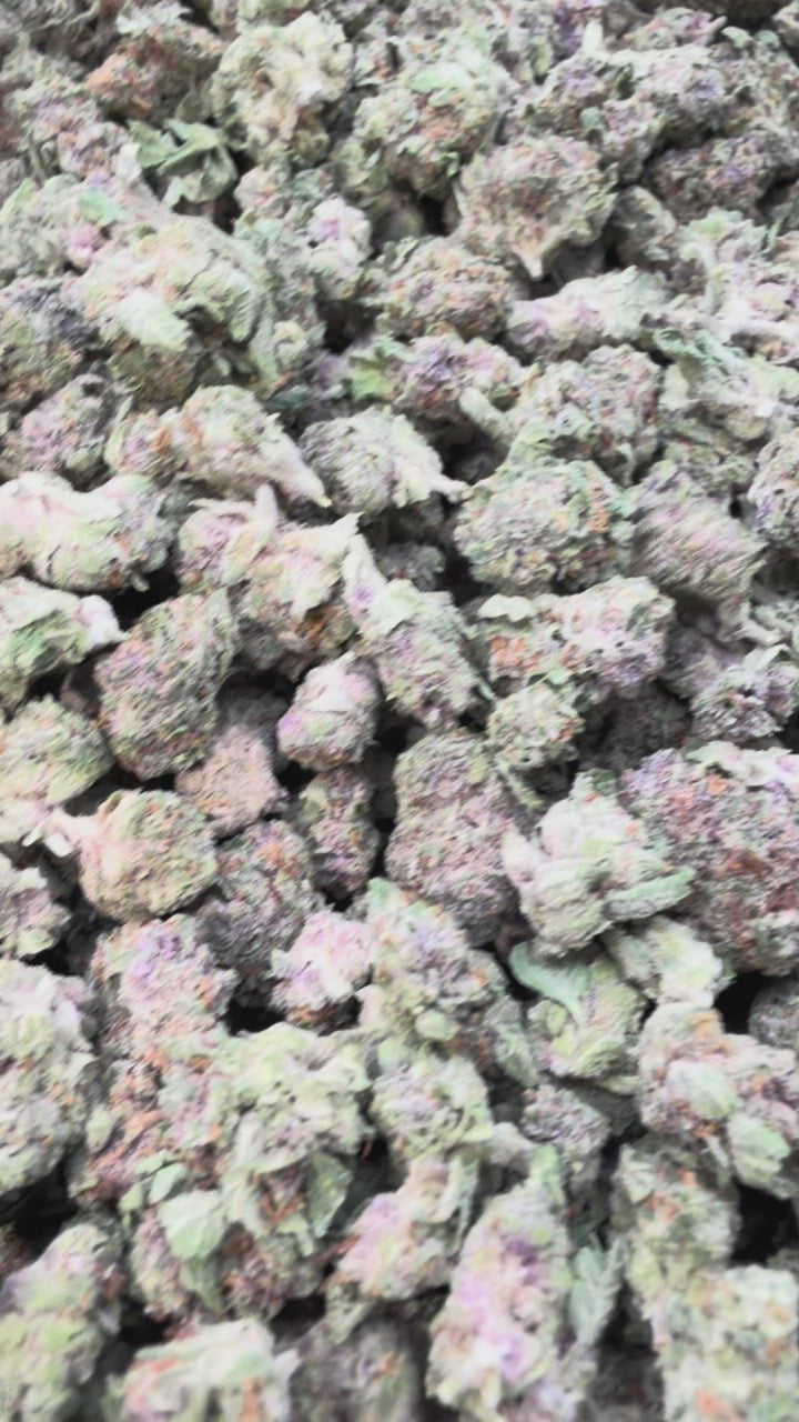 Load video: Trop Cherry Littles - Bulk Littles - Sativa