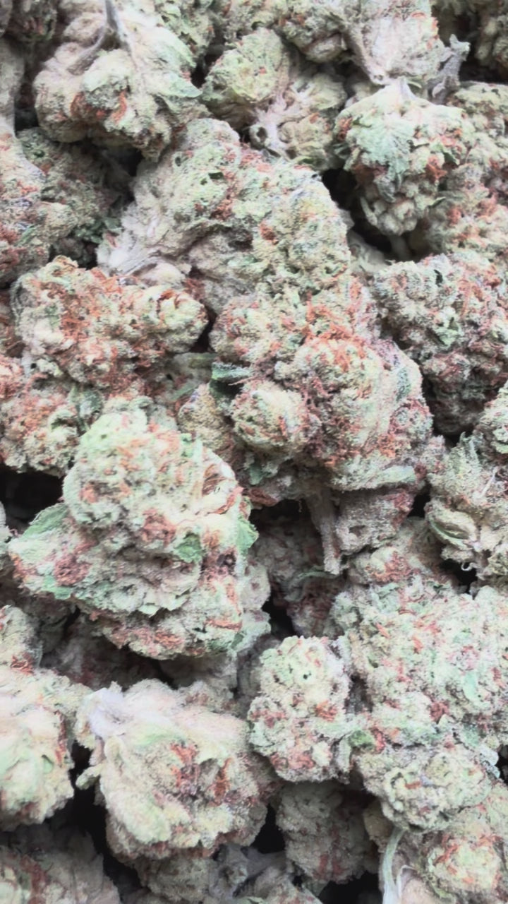 Load video: Barneys Biscotti - Bulk - Indica