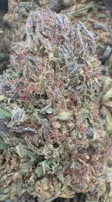 Load video: White Rhino - Bulk - Indica