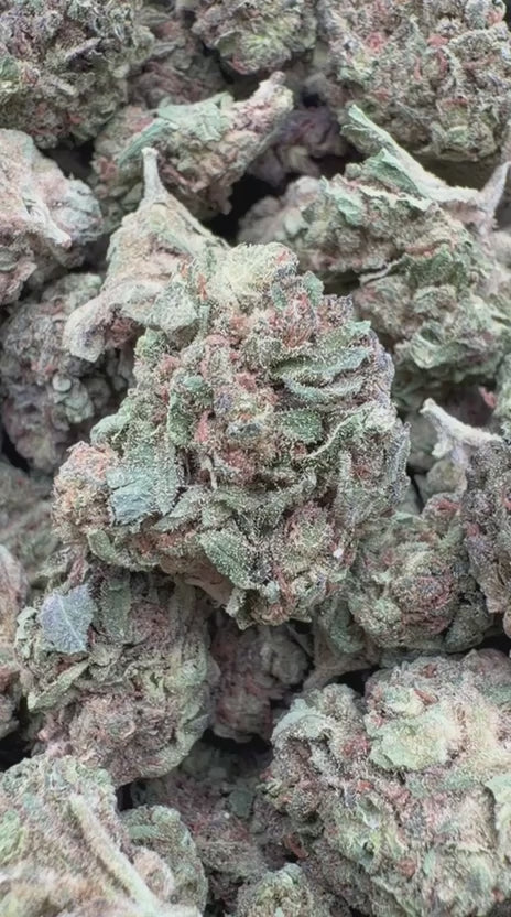 Cargar vídeo: Durban Poison Mediums - Medios a granel - Sativa