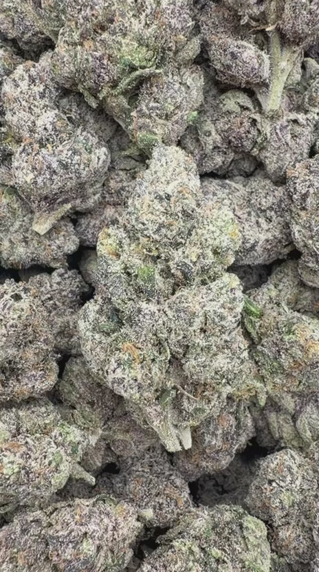 Cargar vídeo: Blue Nerds - A granel - Híbrido