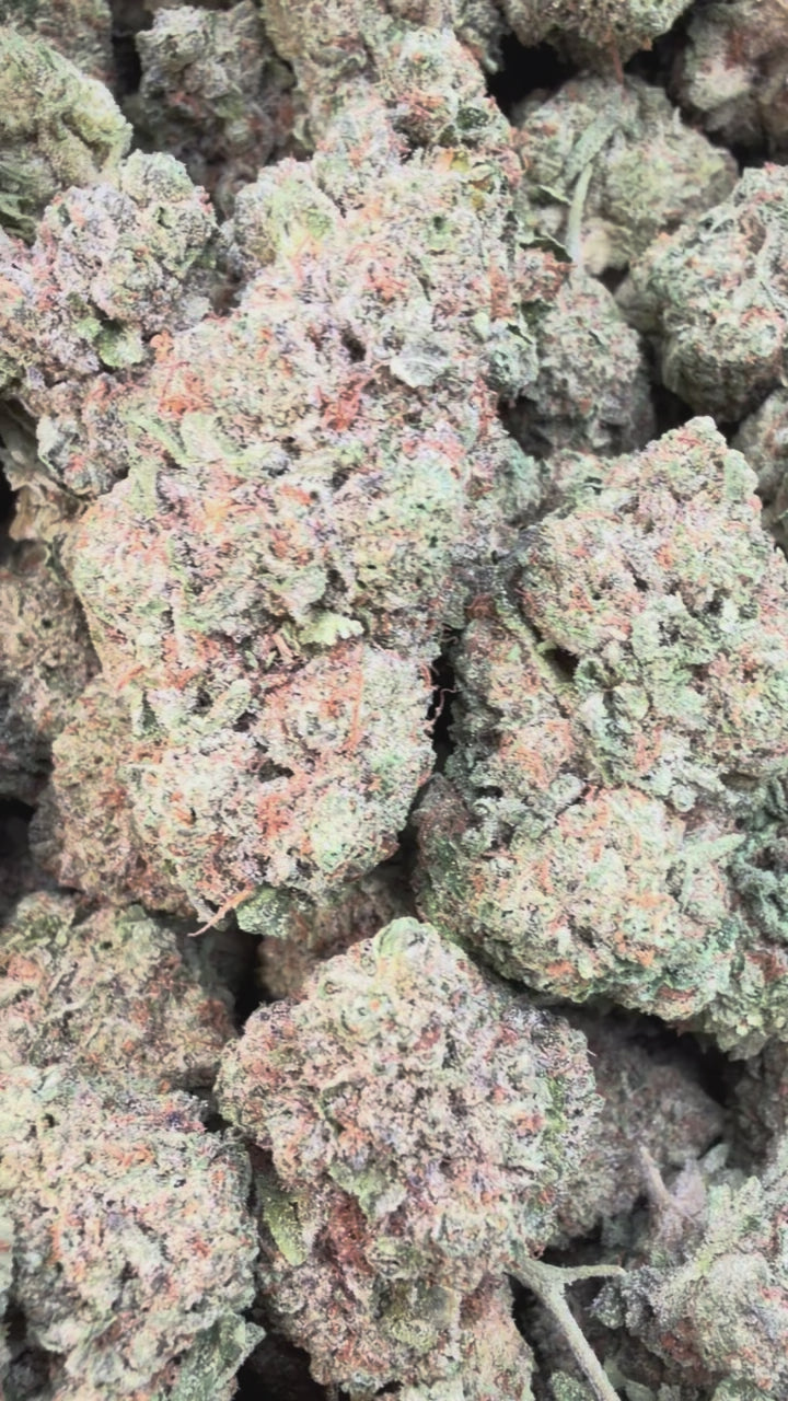 Load video: London Pound Cake 97 - Bulk - Indica