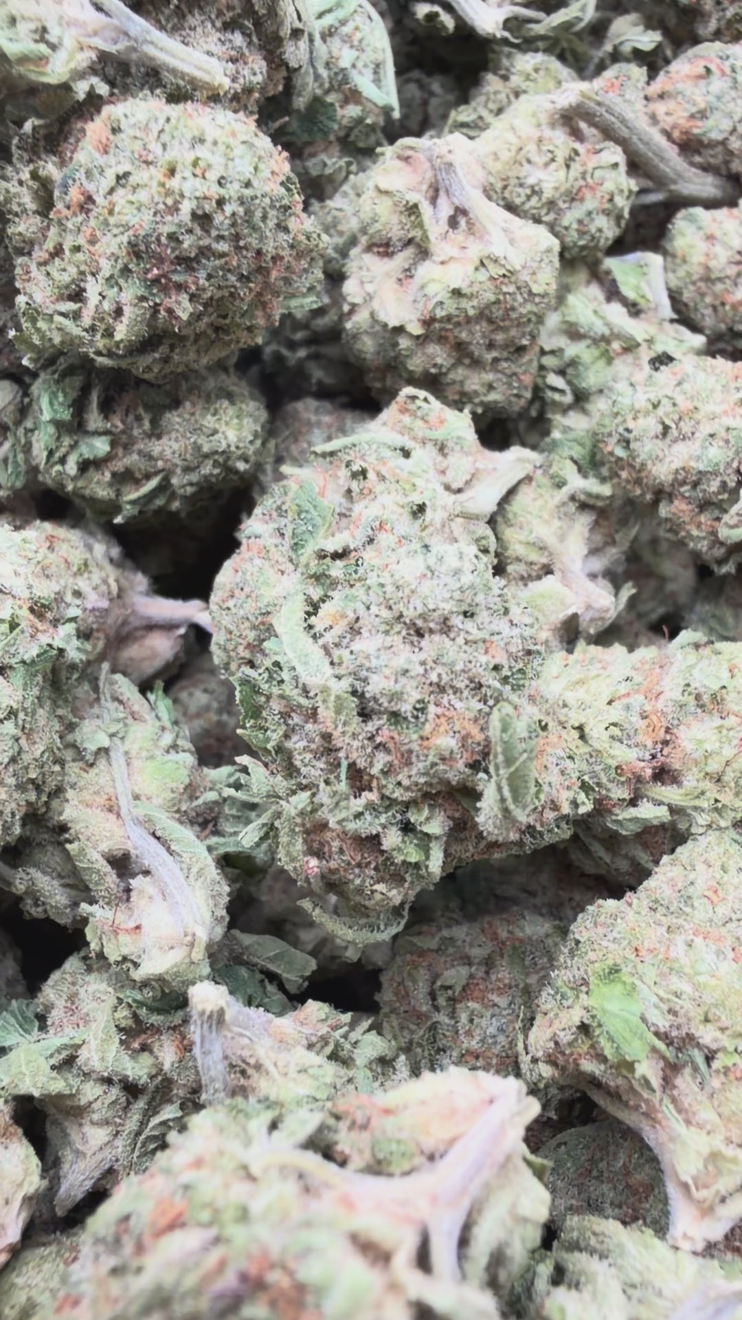 Load video: Slurty Mediums - Bulk Mediums - Indica
