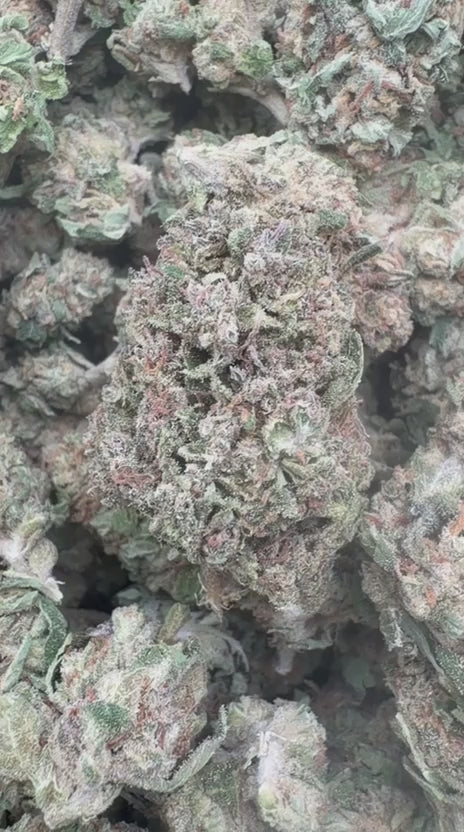 Load video: Slurricane - Bulk - Indica