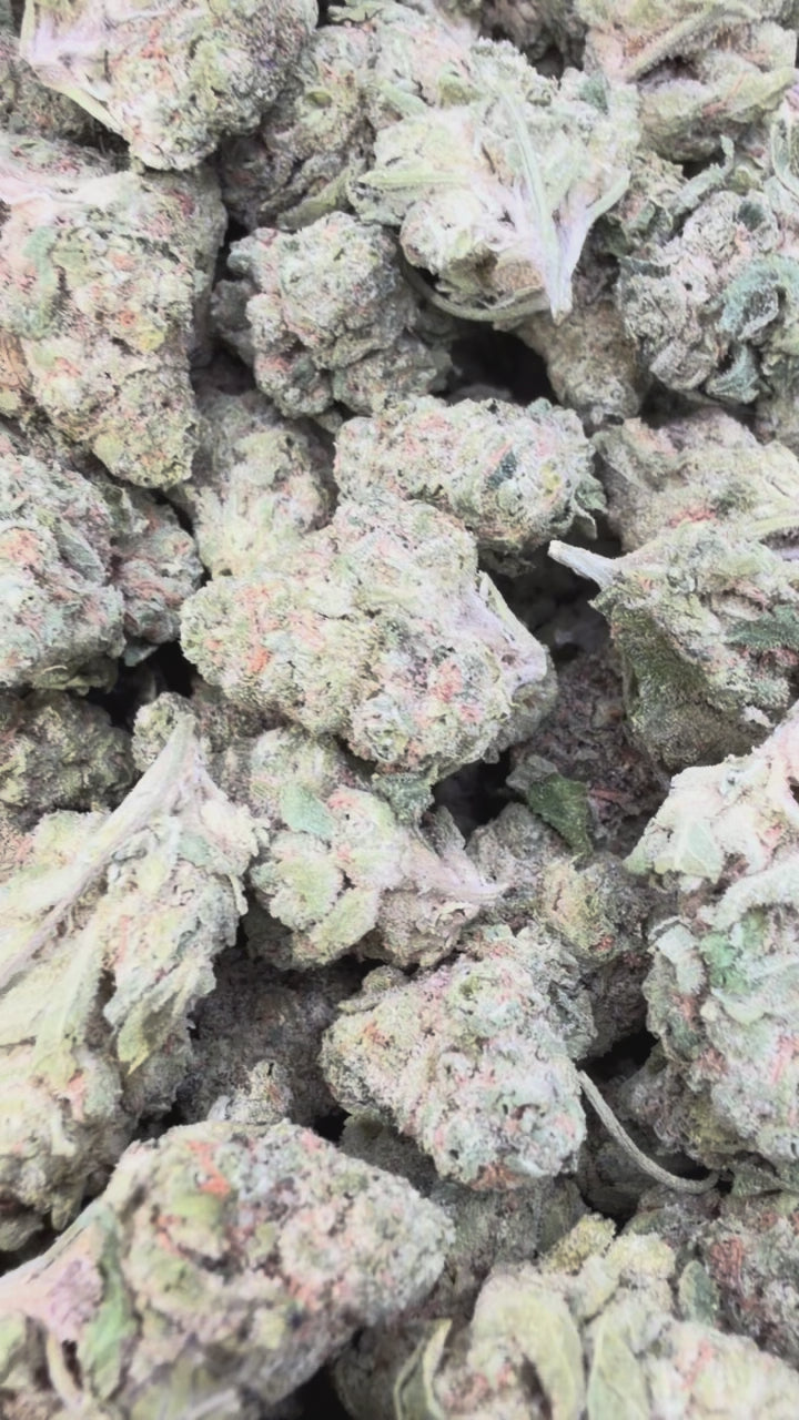 Load video: Gusher Mintz Mediums - Bulk Mediums - Hybrid