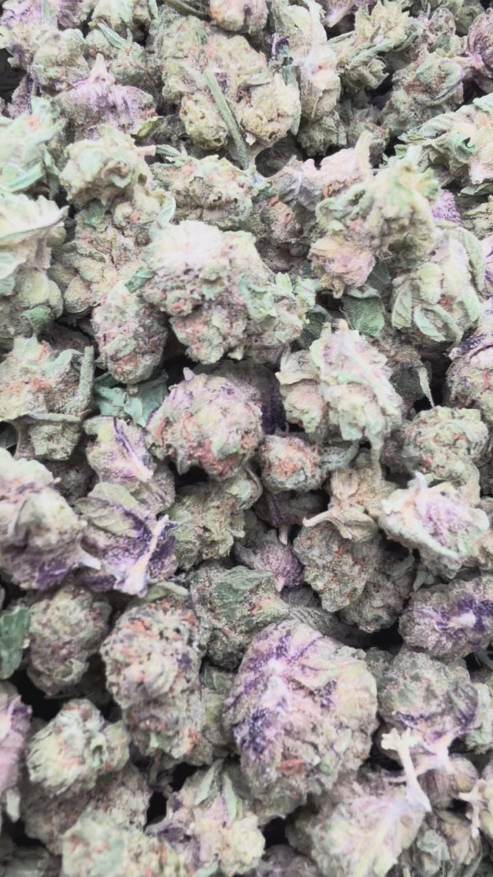 Load video: Glitterati Littles - Bulk Littles - Indica