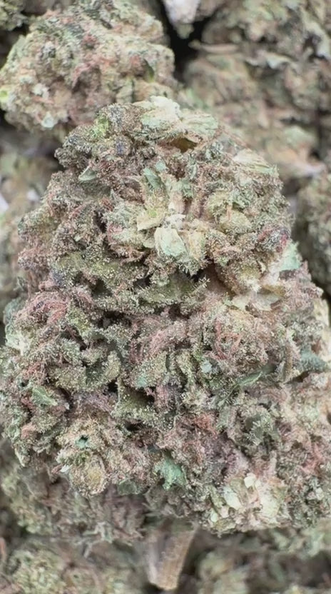 Load video: Mega OG - Bulk- Indica