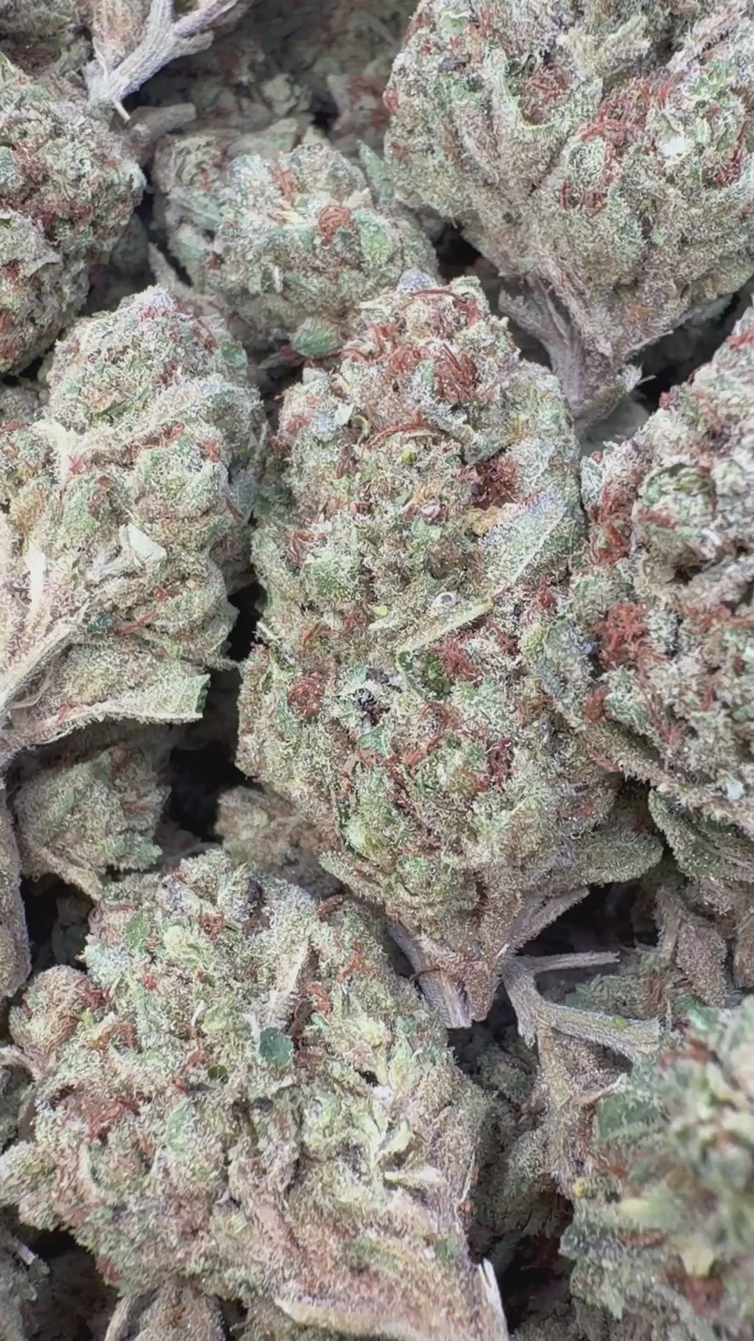 Load video: Godfather OG Indoor - Bulk - Indica