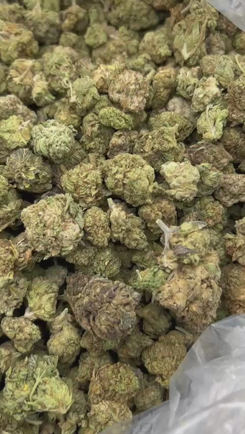 Load video: Pink Runtz Mediums - Bulk Mediums - Hybrid